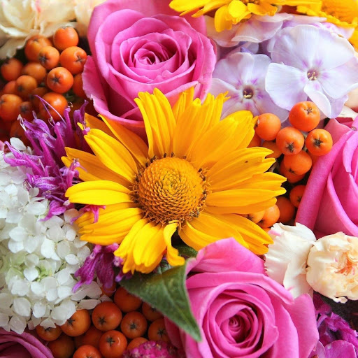 Hd-153355-ascw153355