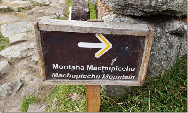 Machu_Picchu_DSC02141
