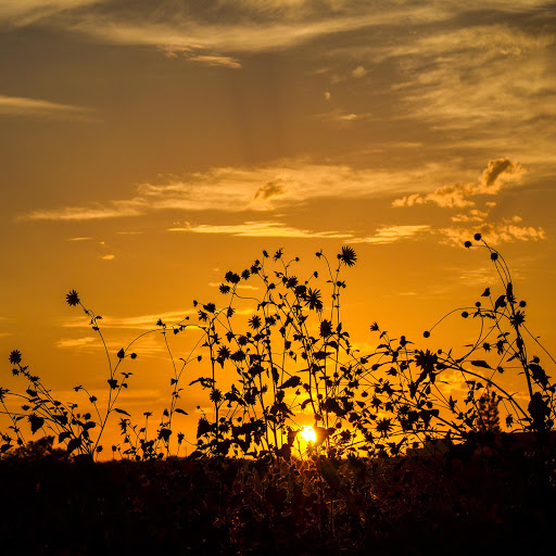 Hd-159978-ascw159978