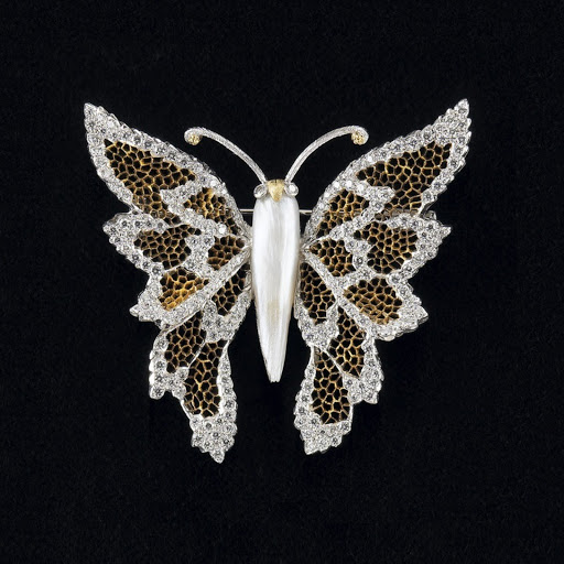 Hd-171873-ascw171873