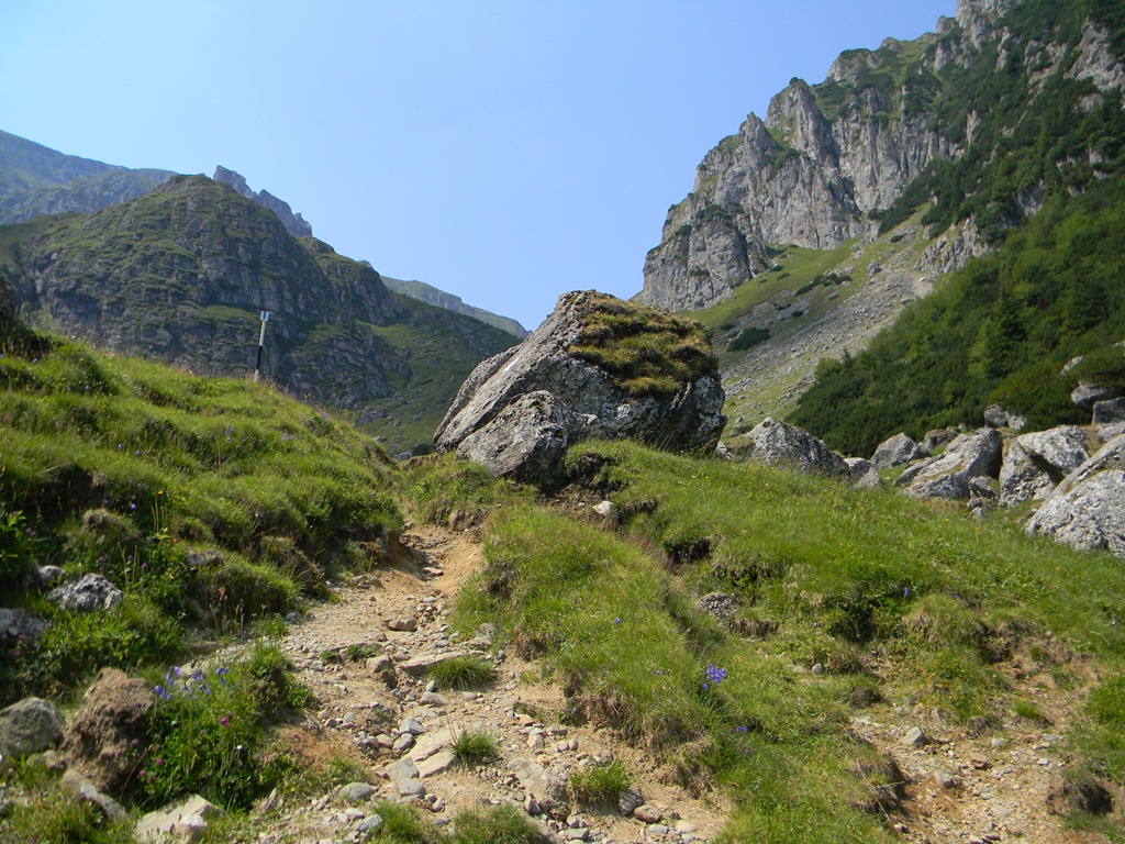 [DSCN37223.jpg]