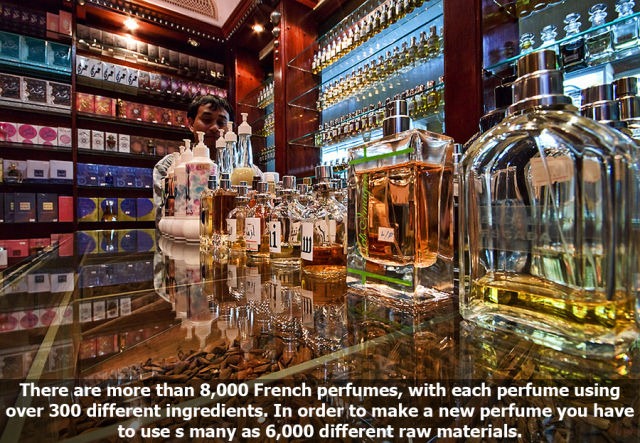 [10_interesting_facts_about_smelling_640_08%255B4%255D.jpg]
