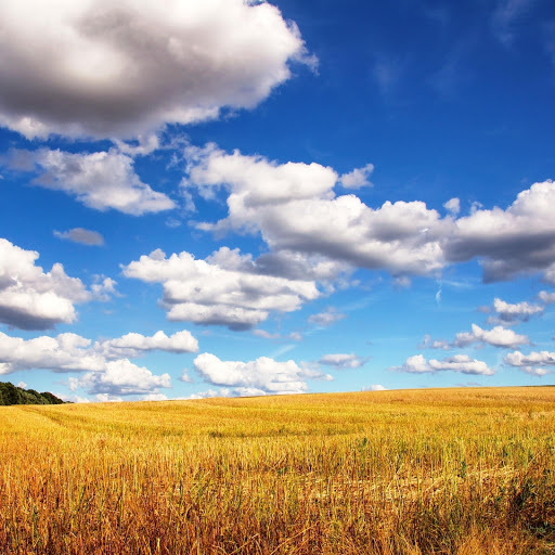 Hd-151967-ascw151967