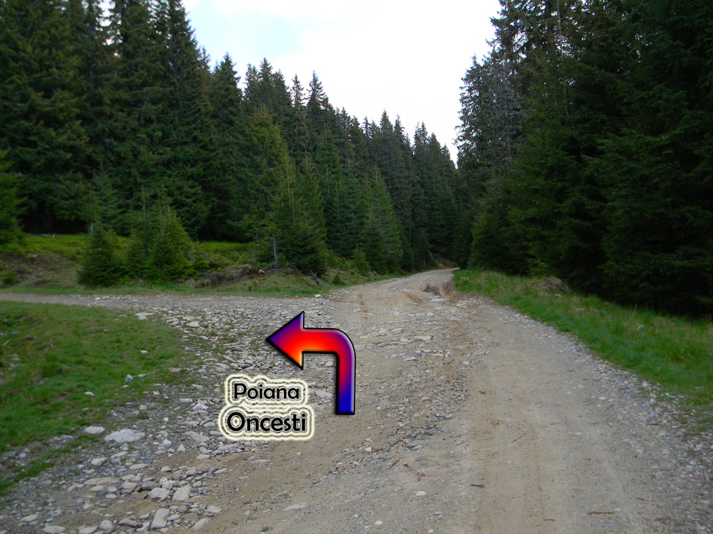 [DSCN00173.jpg]