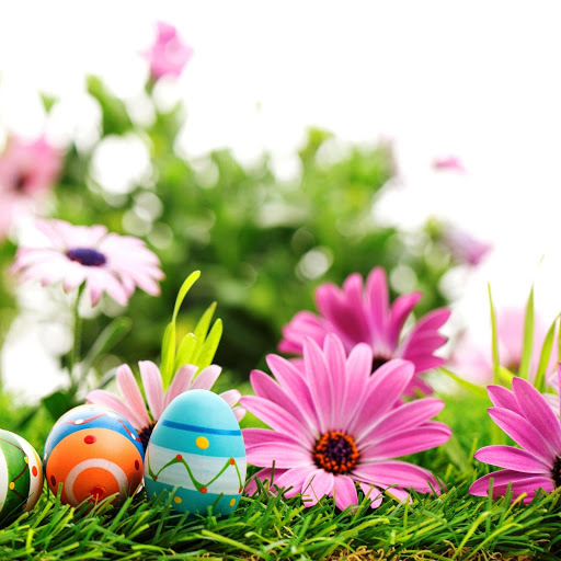 Hd-150395-ascw150395