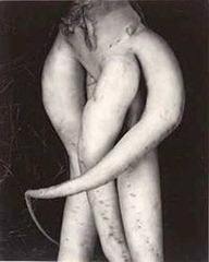 Edward Weston - White Radish 1933
