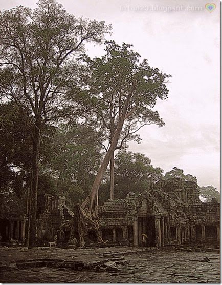 prea-khan-siem-reap-cambodia-jotan23 (22)