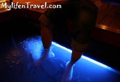 Kenko Fish Spa 18 Kenko Fish Spa 18