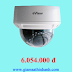 Camera IP Dome Eview NWD13