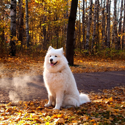 Hd-156623-ascw156623