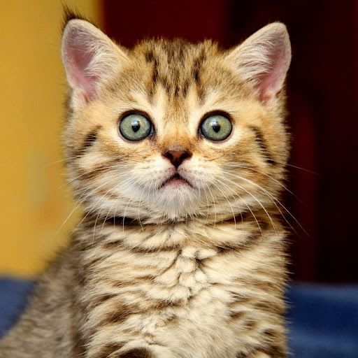 Hd-149965-ascw149965