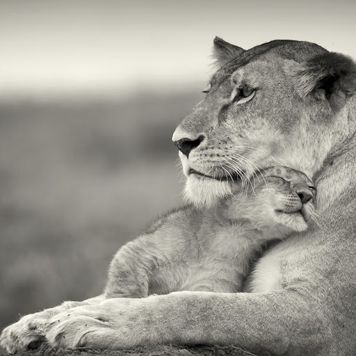 Hd-164944-ascw164944