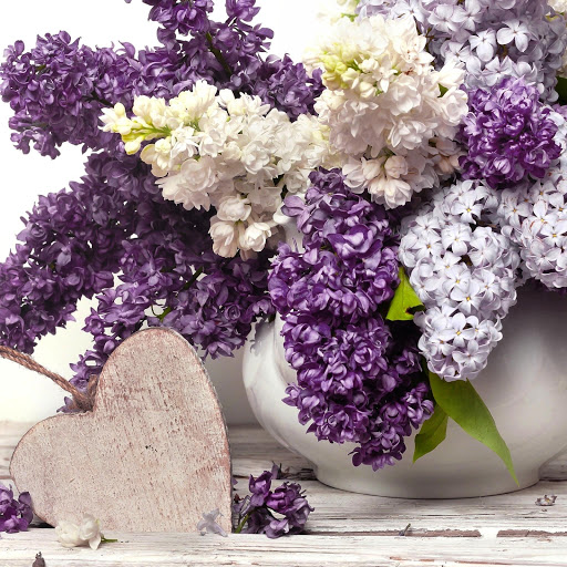 Hd-152281-ascw152281