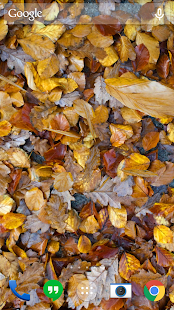 Autumn leaves 3D LWP(圖4)-速報App