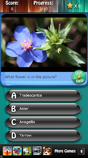 Flowers and Blossoms Quiz HD Screenshots 3