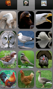 How to install Animal Sounds 1.0 mod apk for android