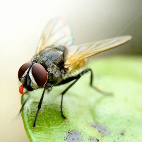 by Ravi Kashyap - Uncategorized All Uncategorized