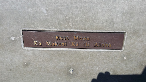 Rose Moon Memorial Bench