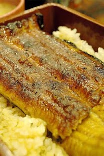 Lastest Eel as food Puzzle APK for PC