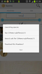 Sapiens -Archaeology & History poster 8