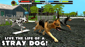 Stray Dog Simulator
