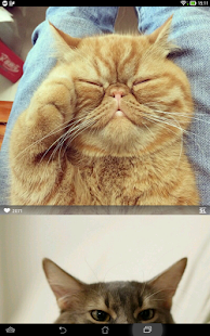Cotolog(圖4)-速報App