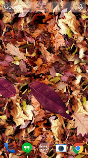 Autumn leaves 3D LWP(圖2)-速報App