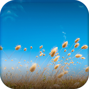 One M9 QHD Wallpapers.apk 1.3