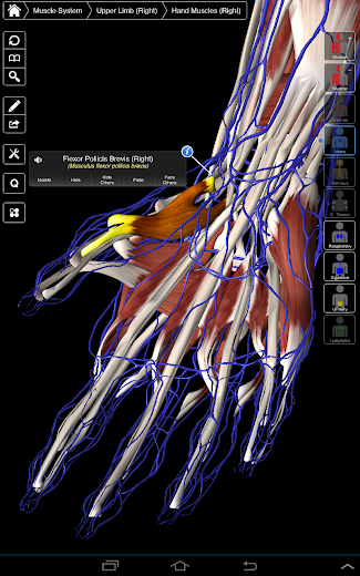 Anatomía Essential 3 - pantalla