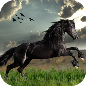 Wild Horses Live Wallpaper  App Android su Google Play