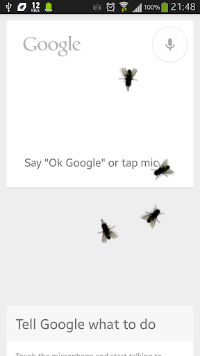 Flies On Screen