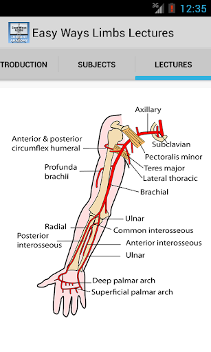 Easy Ways Limbs