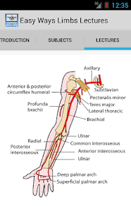Lastest Easy Ways Limbs APK for PC