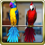 Cover Image of Download Talking Parrot Couple Free 1.3.6 APK