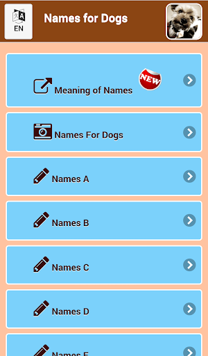 Names For Dogs