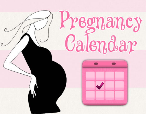 Pregnancy Calendar