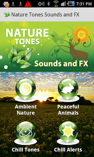 Epic Nature Tones Sounds FX