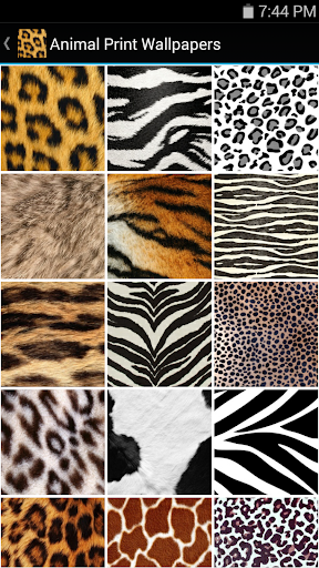 Animal Print Wallpapers
