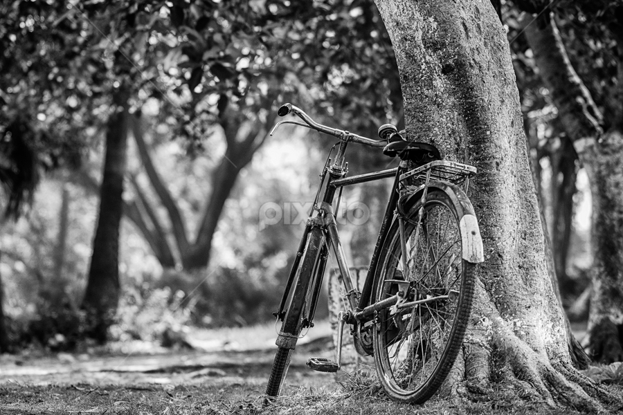 A Way towords home  by Swarnendu Chatterjee - Black & White Street & Candid