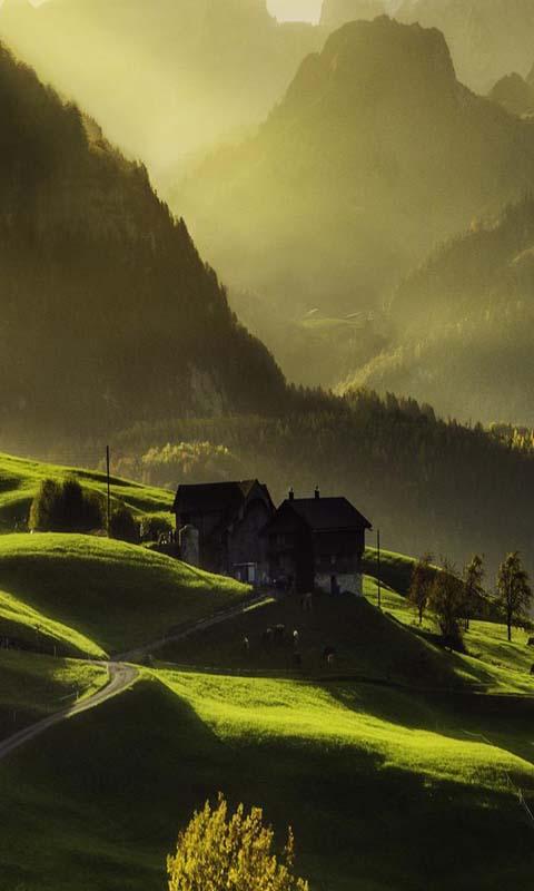 Android application 3D Forest HD Live Wallpaper screenshort
