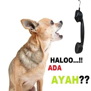 Download DP BBM AYAH APK to PC  Download Android APK 