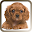 Pet Sitter: The Pet Manager Download on Windows