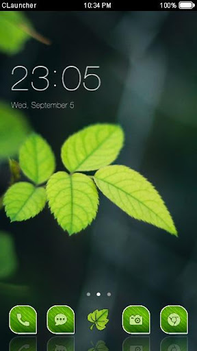 Green Leaf CLauncher Theme