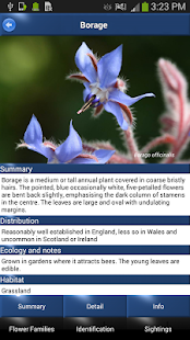 Wild Flower Id Automatic Recognition British Isles(圖2)-速報App