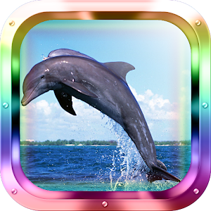 Dolphin Diver.apk 1.0