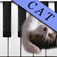 Cat Piano Free logo