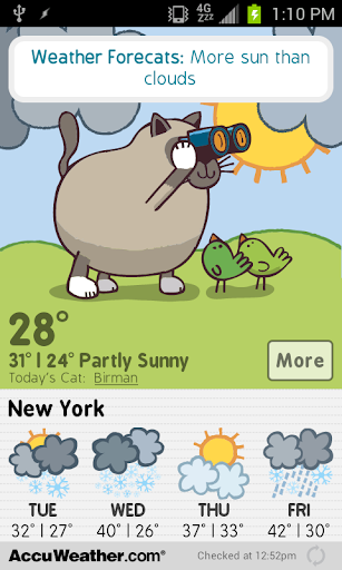 Weather Forecats Purr-emium