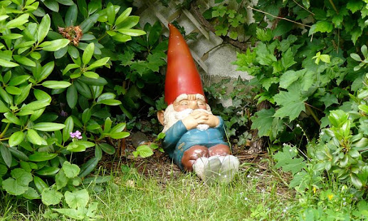 Small Garden Ideas(圖3)-速報App