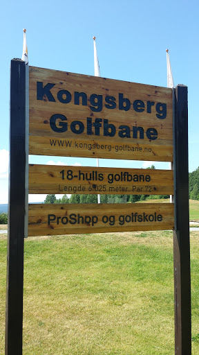 Kongsberg Golfbane 