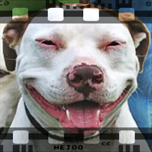 Funny dog TV - Video Search 1.0.3
